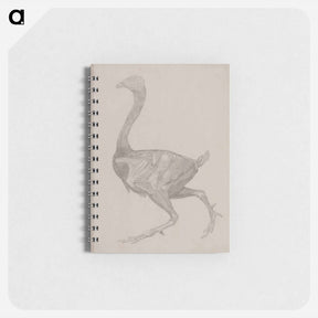 アートメモ帳-Fowl Body, Lateral View
 - ジョージ スタッブス Memo.