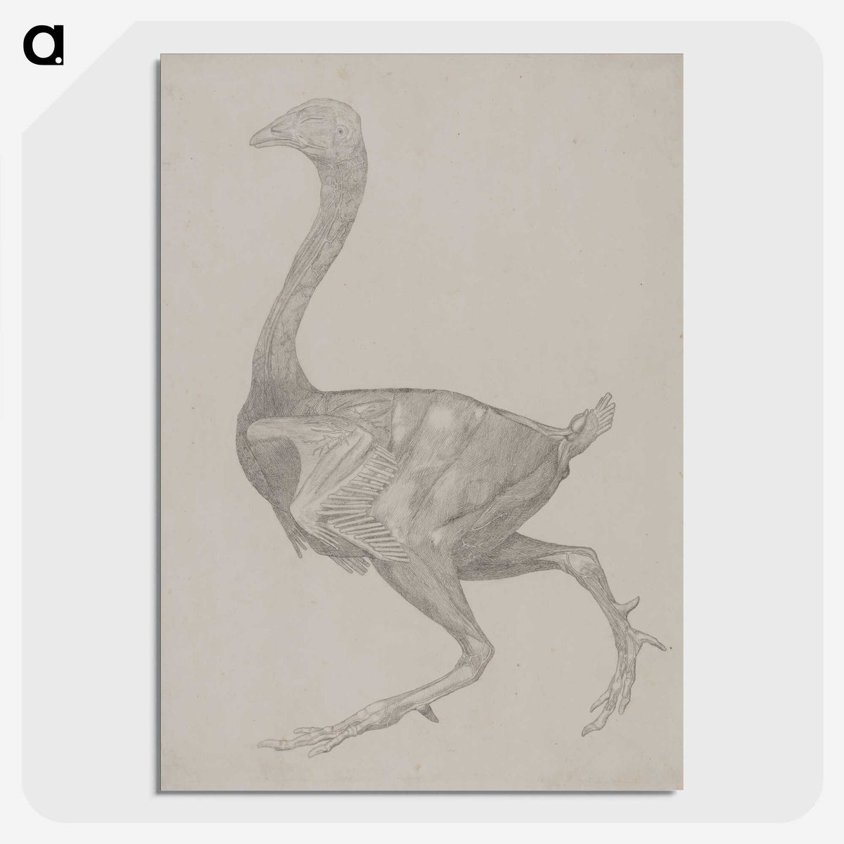 2-76_George-Stubbs_picture-crop