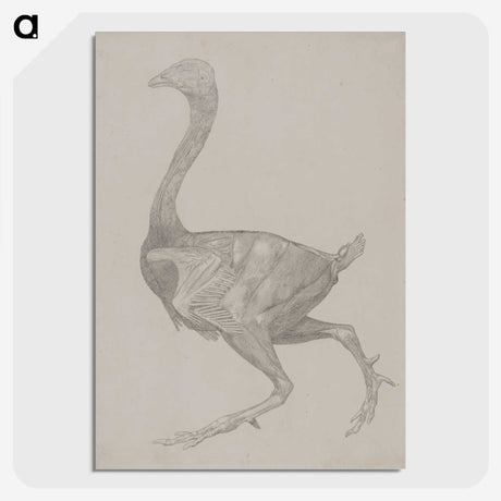 2-76_George-Stubbs_picture-crop