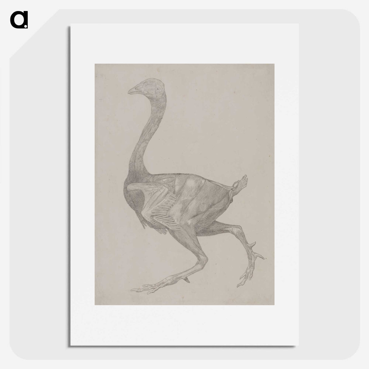 2-76_George-Stubbs_picture