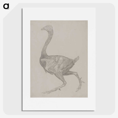 2-76_George-Stubbs_picture