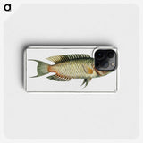 2-76_Ichtyologie-ou-Histoire-naturelle_phone