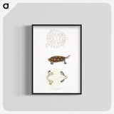 2-76_Indian-Zoology_blk-crop