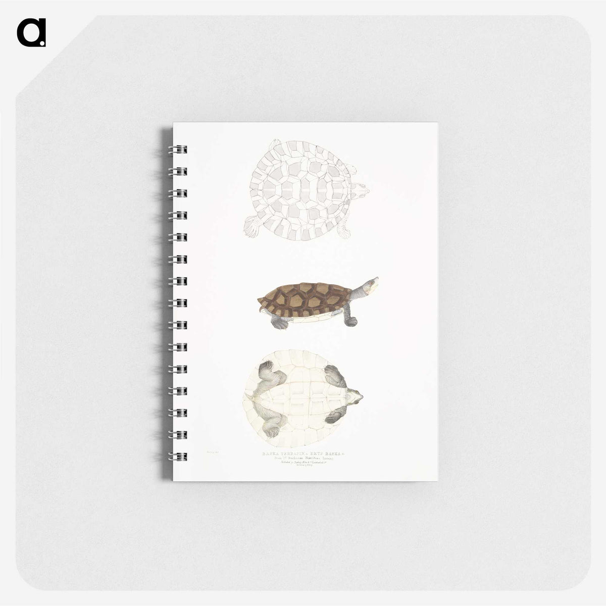 2-76_Indian-Zoology_memo