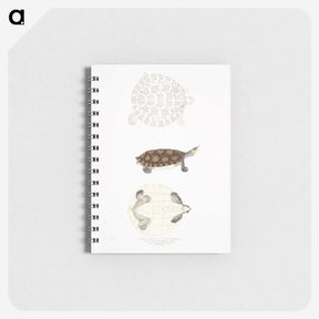 2-76_Indian-Zoology_memo