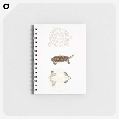 2-76_Indian-Zoology_memo