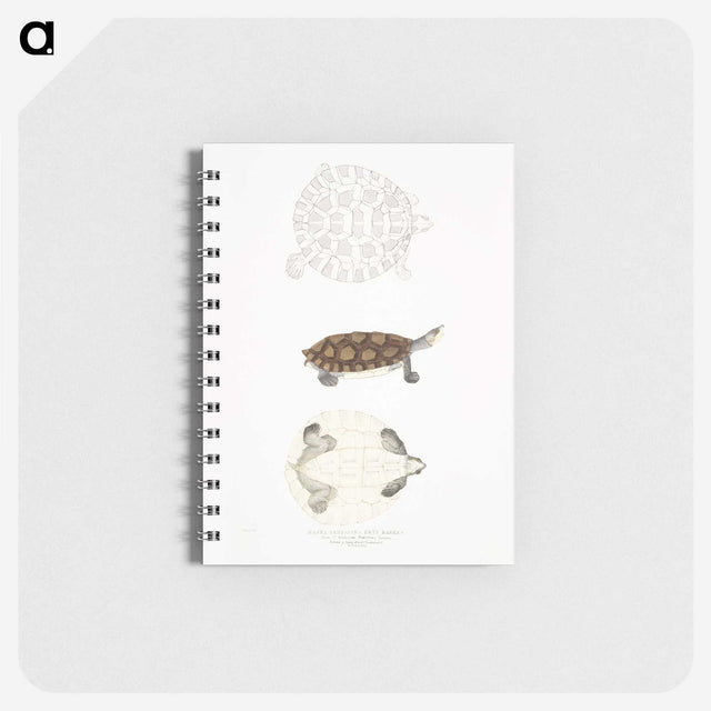 2-76_Indian-Zoology_memo
