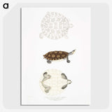 2-76_Indian-Zoology_picture-crop