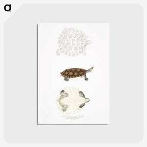 2-76_Indian-Zoology_postcard