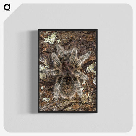 2-76_Insects-Unlocked-Project_blk-crop