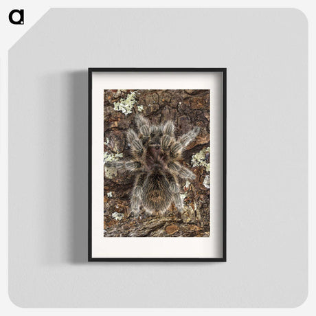 2-76_Insects-Unlocked-Project_blk