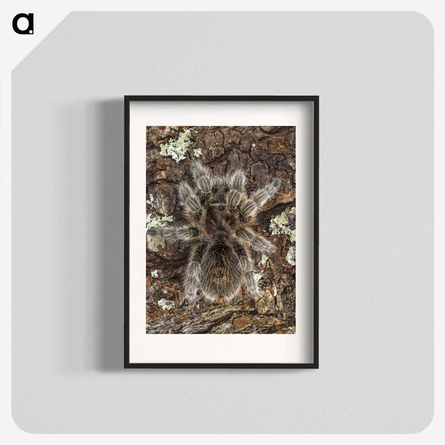 2-76_Insects-Unlocked-Project_blk