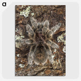 2-76_Insects-Unlocked-Project_picture-crop