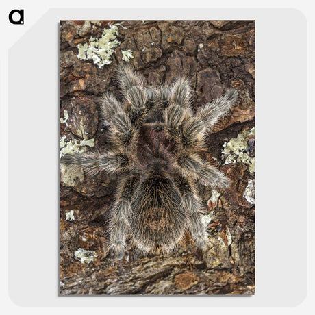 2-76_Insects-Unlocked-Project_picture-crop