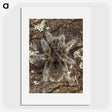 2-76_Insects-Unlocked-Project_picture