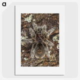 2-76_Insects-Unlocked-Project_picture