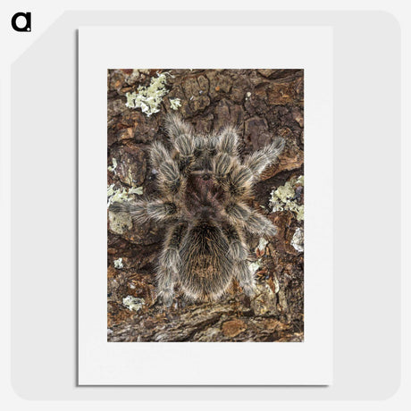 2-76_Insects-Unlocked-Project_picture