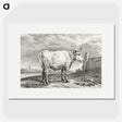 2-76_Jean-Bernard_picture