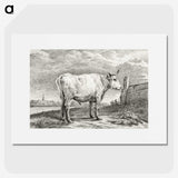 2-76_Jean-Bernard_picture