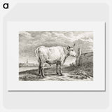 Standing bull - Jean Bernard Poster.