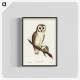 2-76_John-Gould_blk-crop