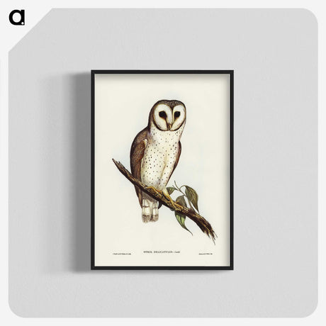 2-76_John-Gould_blk-crop