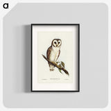 2-76_John-Gould_blk
