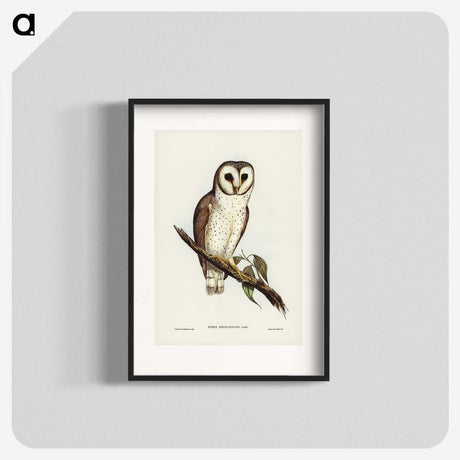 2-76_John-Gould_blk