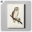 2-76_John-Gould_canvas
