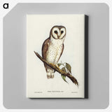 2-76_John-Gould_canvas