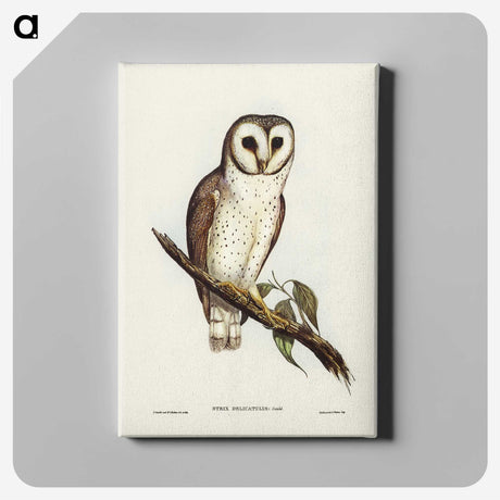 2-76_John-Gould_canvas