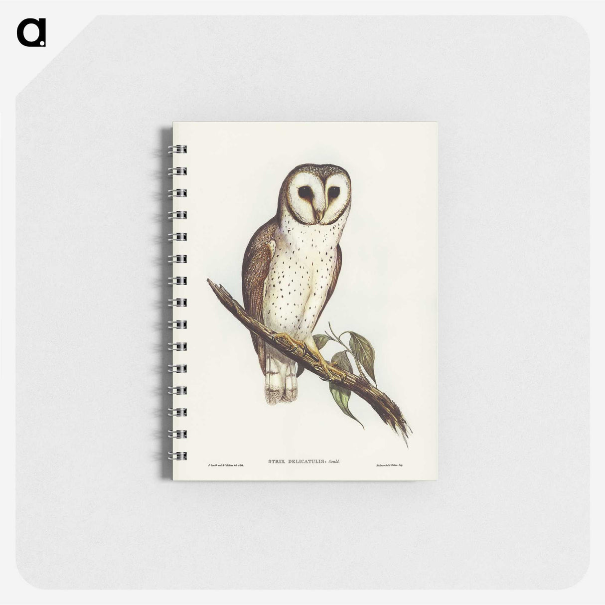 2-76_John-Gould_memo
