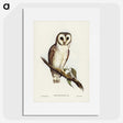 2-76_John-Gould_picture