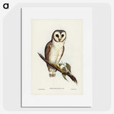 2-76_John-Gould_picture