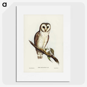 2-76_John-Gould_picture