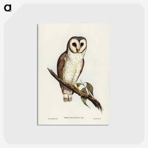 2-76_John-Gould_postcard