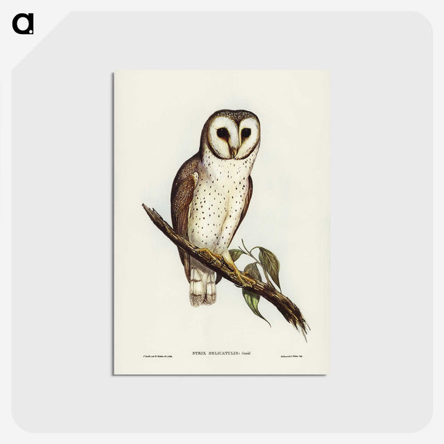 2-76_John-Gould_postcard