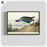 2-76_John-James-Audubon_blk-crop