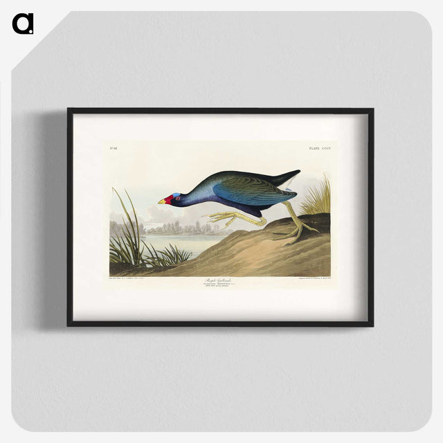 2-76_John-James-Audubon_blk