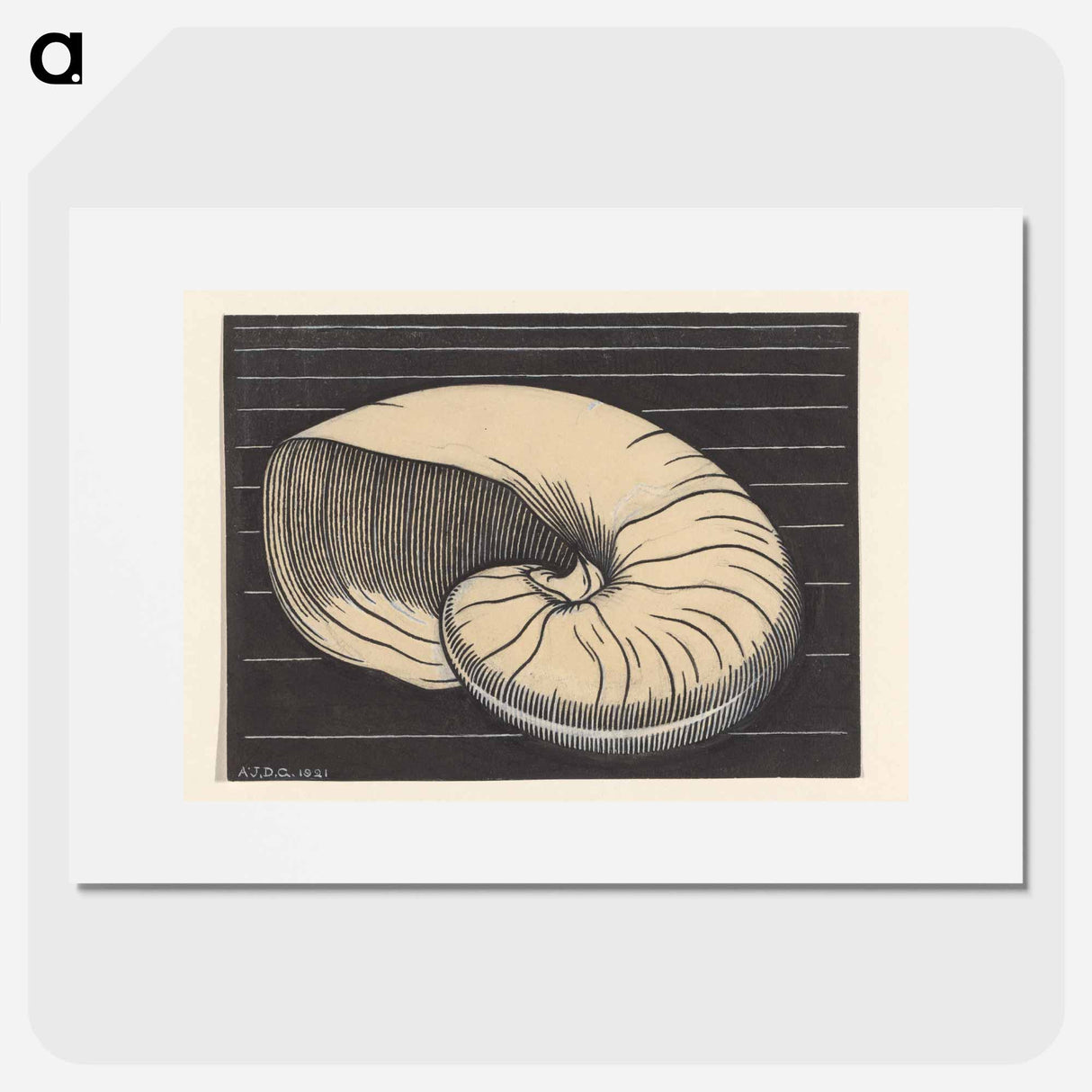 Nautilusschelp - Julie de Graag Poster.
