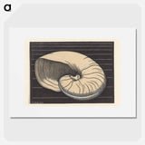 Nautilusschelp - Julie de Graag Poster.