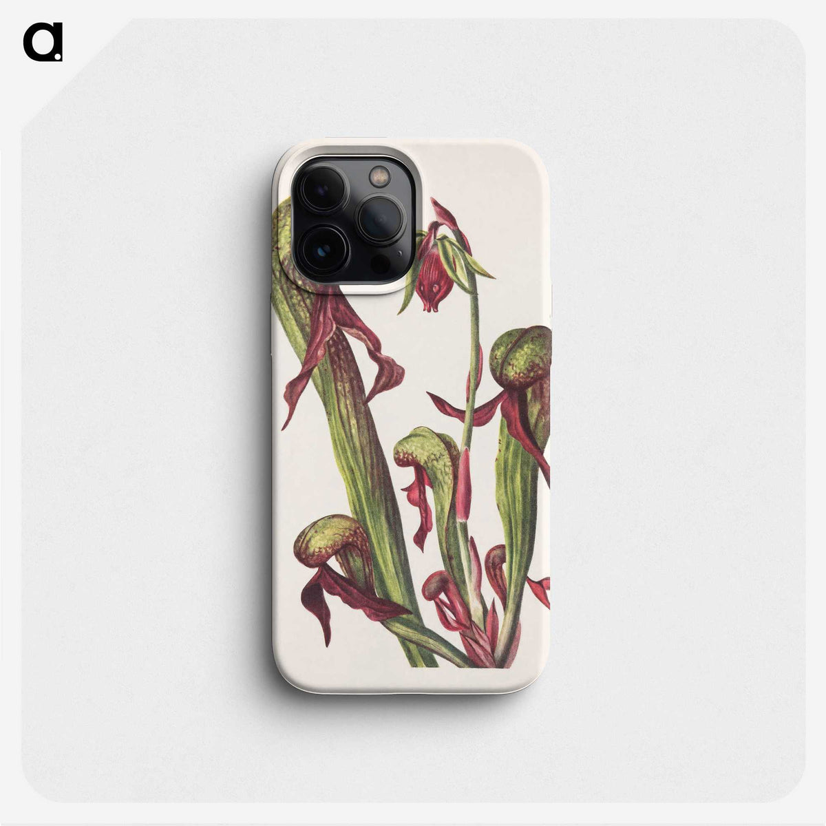 2-76_Mary-Vaux-Walcott_phone
