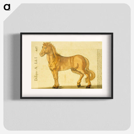 アートポスター-Study of a Horse
 - 国立医学図書館 Poster.