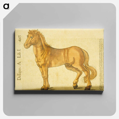 アートパネル-Study of a Horse
 - 国立医学図書館 Canvas.
