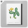 アートパネル-Cactus Opuntia Nana - ピエール ジョゼフ ルドゥーテ Canvas.