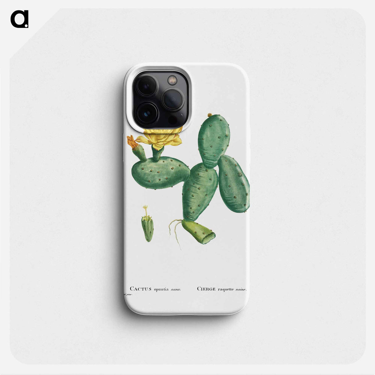 Cactus Opuntia Nana - ピエール ジョゼフ ルドゥーテ Phone Case.