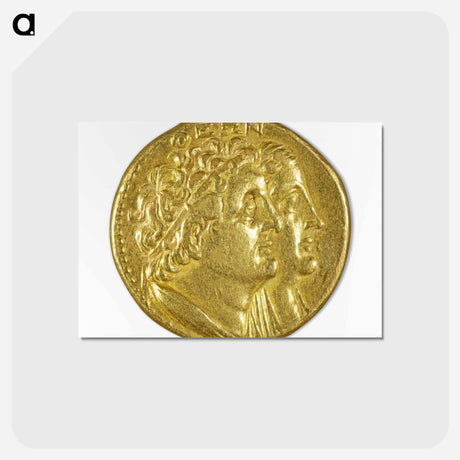 アートポストカード-Oktodrachm with Ptolemy I and Berenike I
 - セントルイス美術館 Postcard.