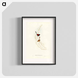 オーストラリア