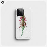 2-76_The-Lilies_phone