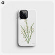 2-76_Treatise-on-Trees-and-Shrubs_phone